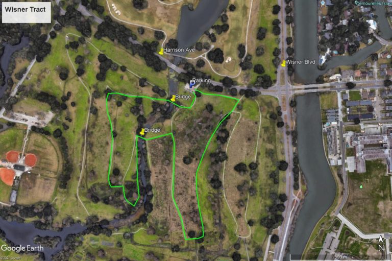 New Orleans City Park and Lake Vista Orleans Audubon Society